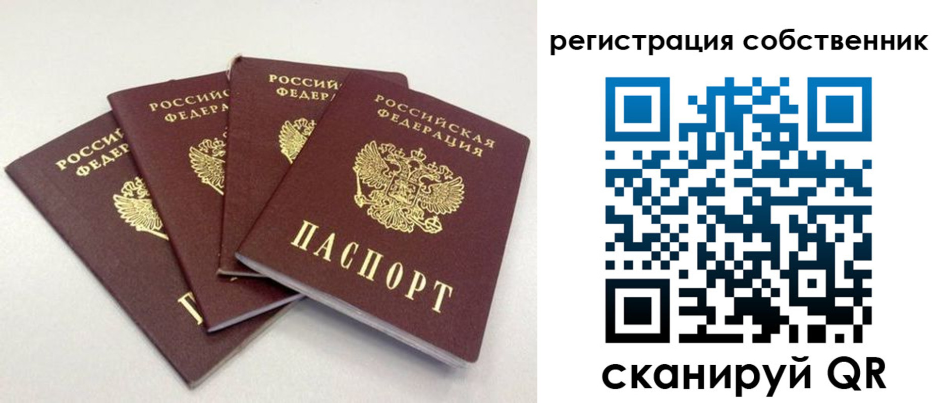 прописка для школы в Сочи